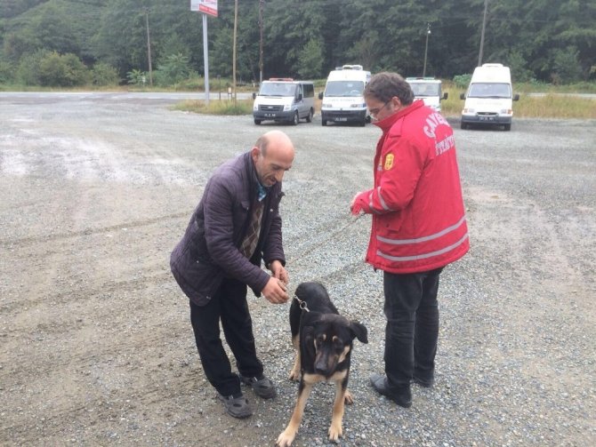Kayalıklarda mahsur kalan köpeği itfaiye ekipleri kurtardı