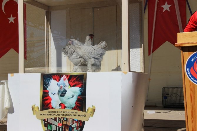 Altın yumurtlayan dernek