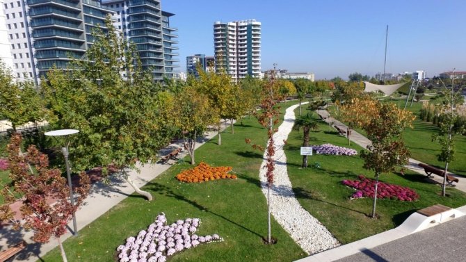 Kasımpatılar Manisa’yı renklendirdi