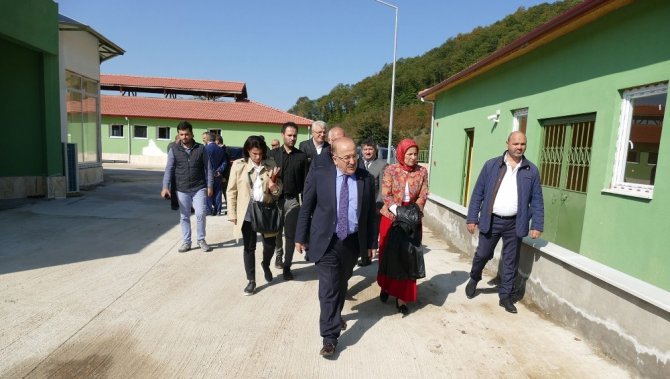 Türkiye’nin en büyük ‘hayvan bakım merkezi’ Trabzon’da hizmete giriyor
