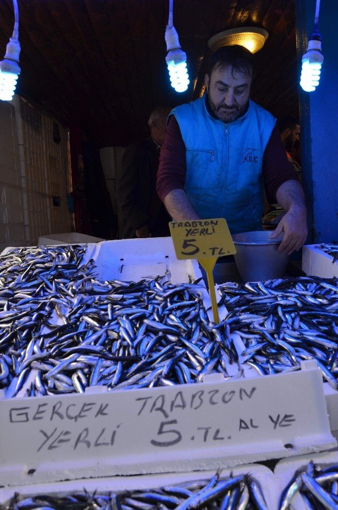 Trabzon’da sezonun en bol hamsi ve palamut avı yüzleri güldürdü