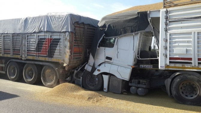 Kara yolu buğday tarlasına döndü: 1 yaralı