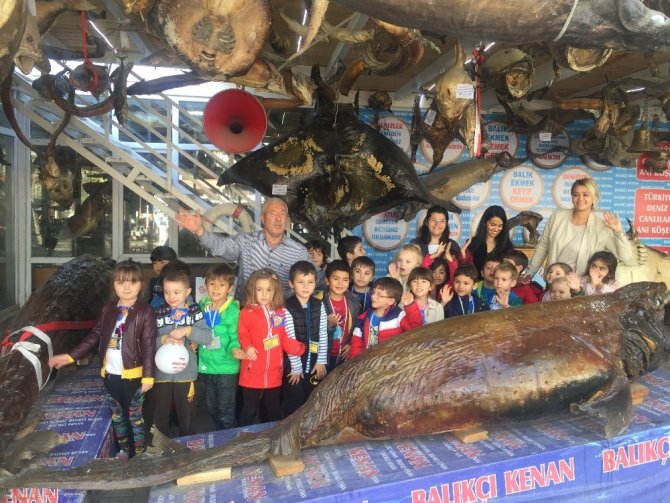 Türkiye Deniz Canlıları Balıkçı Kenan Müzesine, anneler ve çocuklardan yoğun ilgi