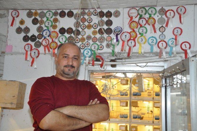 En iyi dostu hayvanlar