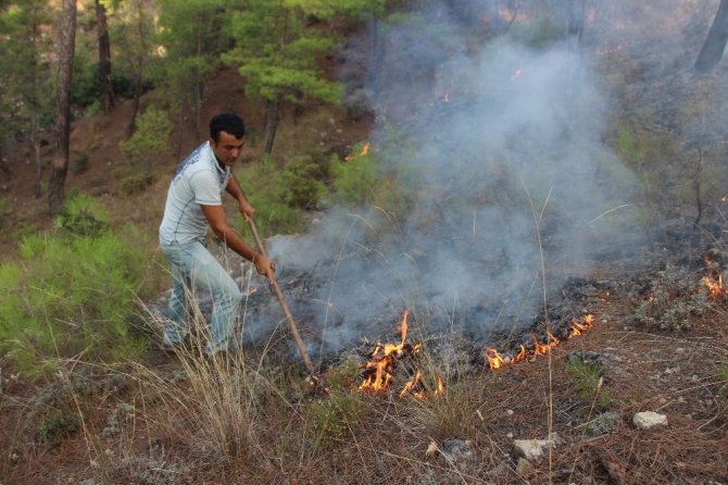 Antalya’da 3 ayrı noktada orman yangını