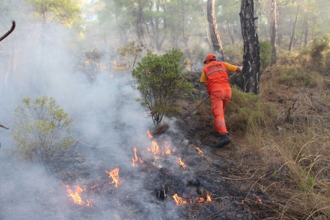Antalya’da 3 ayrı noktada orman yangını
