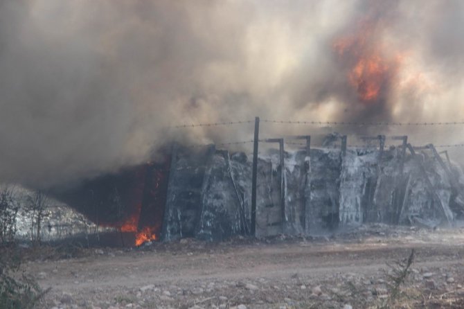 Sivas’ta ot yangını paniğe sebep oldu