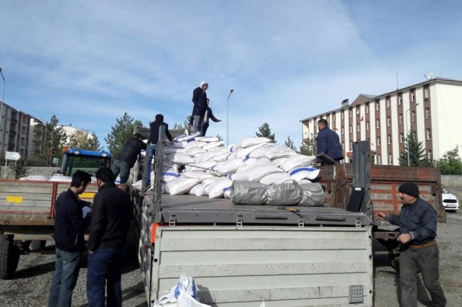 DAP İdaresi’nin desteğiyle 300 ton yem bitkisi tohumu dağıtıldı