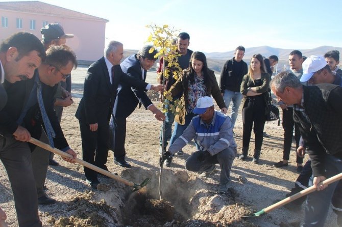 Pınarbaşı’nda her öğrencinin dikili bir ağacı olacak