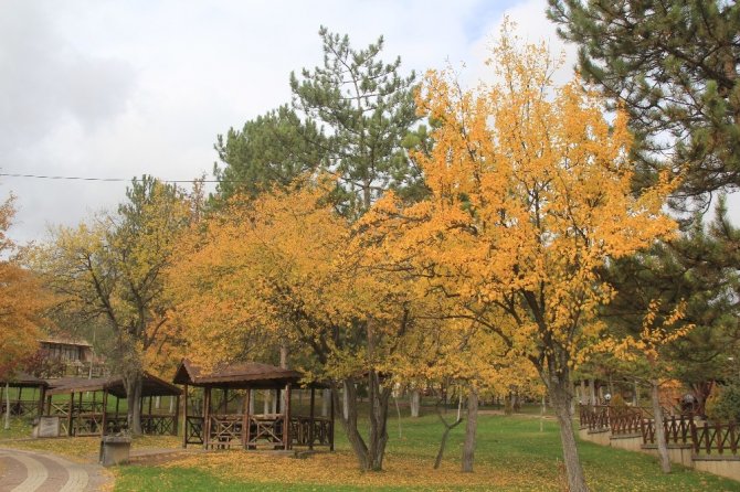 Bozkır’da sonbahar