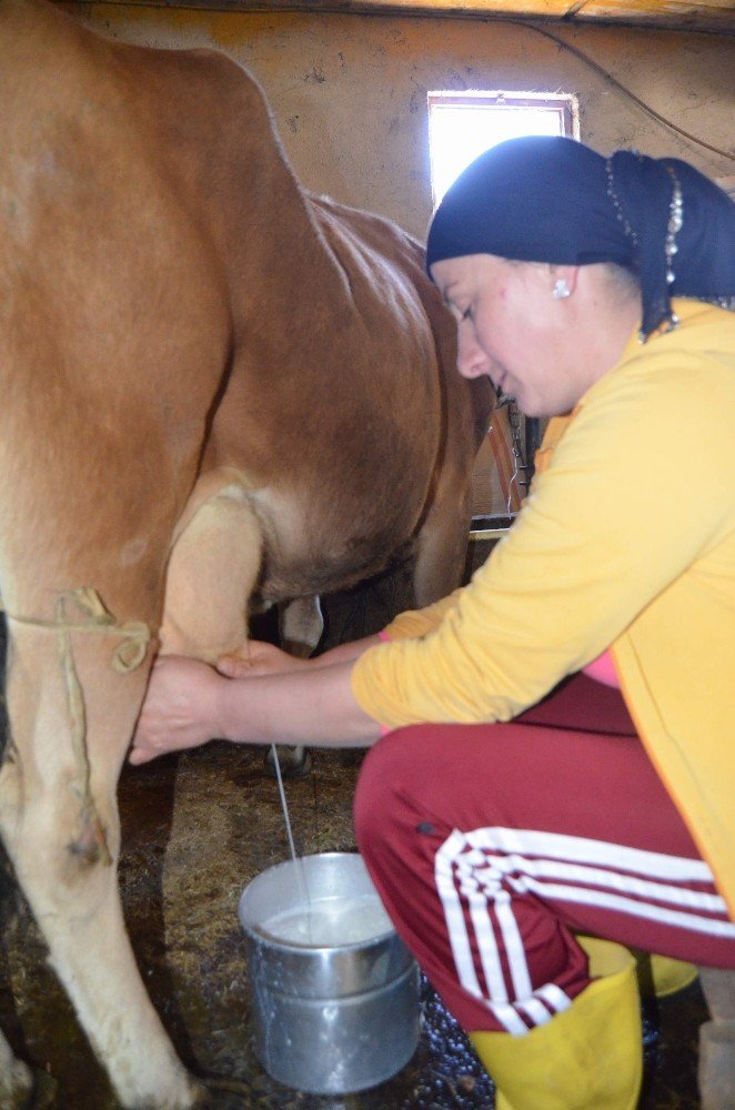 Tereyağı siparişlerine yetiştiremiyorlar