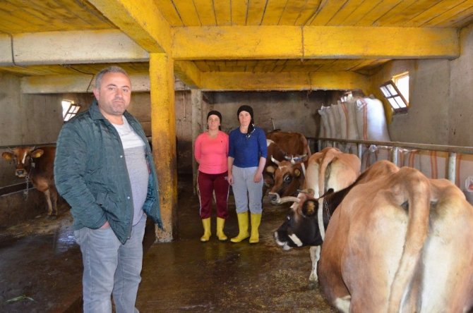 Tereyağı siparişlerine yetiştiremiyorlar