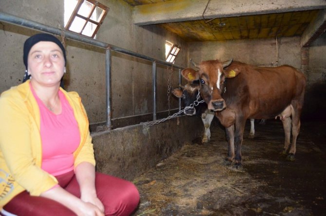 Tereyağı siparişlerine yetiştiremiyorlar