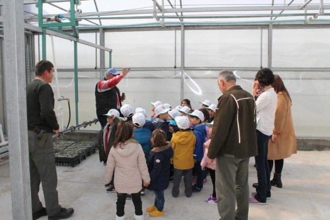 Anasınıfı öğrencilerinden Sivas Orman Fidanlık Müdürlüğü’ne ziyaret