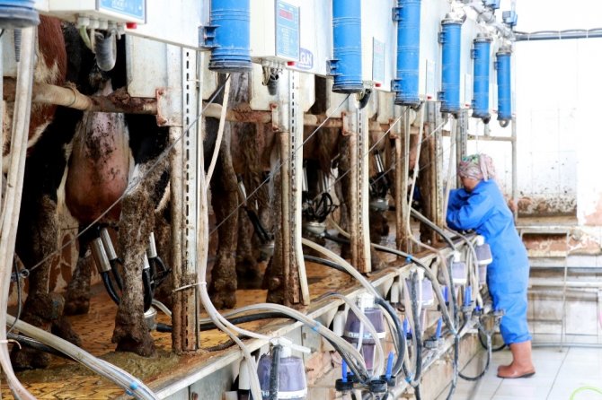 Üreticiler süt ürünlerinin fiyatlarındaki artışa tepkili