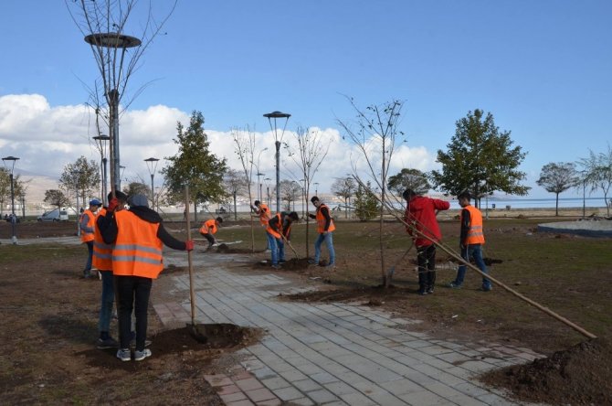 Tatvan’da Sahil Parkı çalışmalarında sona gelindi