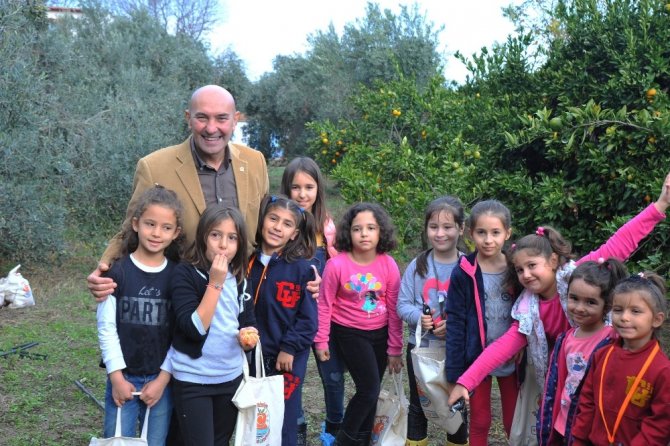 Mandalinanın ilk hasadı çocuklardan