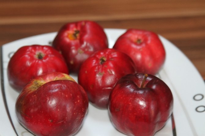 Ardahan’ın içi de dışı da kırmızı elması tescillenecek