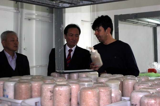 Türkiye ve Güney Kore mantar üretecek