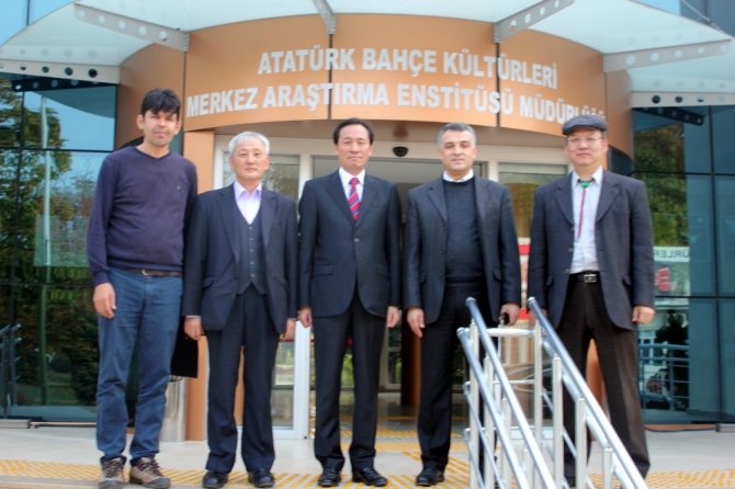 Türkiye ve Güney Kore mantar üretecek