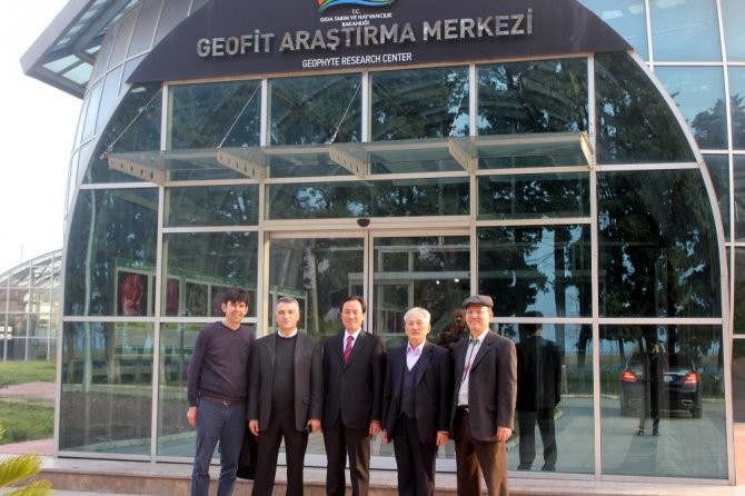 Türkiye ve Güney Kore mantar üretecek