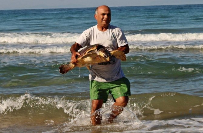 Deniz kaplumbağalarını korumak için tabela dikildi