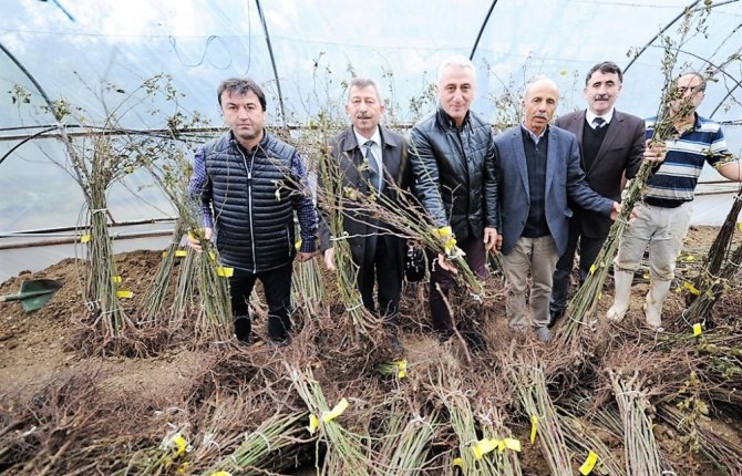 Samsun’da tarıma destek 800 bin lirayı buldu