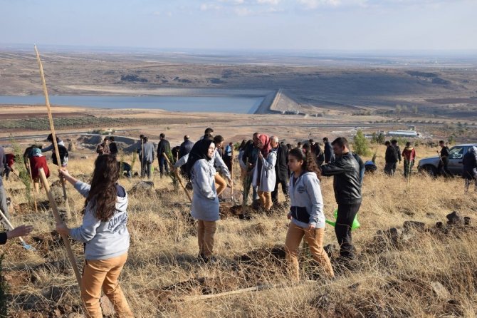 Öğretmenler adına fidan dikildi