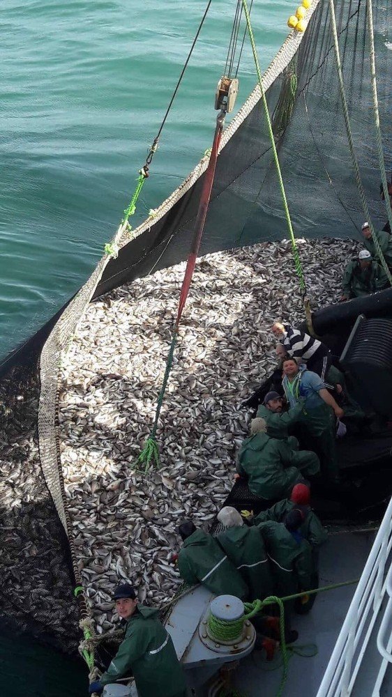 Moritanya’da balıkçılık Türklerin elinde