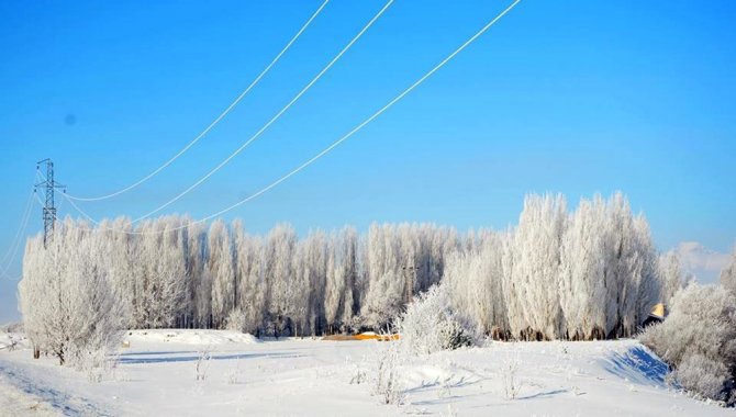 Doğu’da Sibirya soğukları