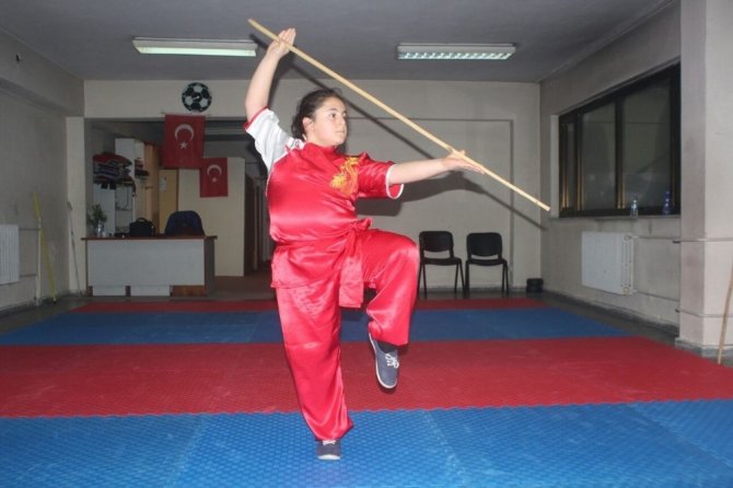 Dövüş sporlarında yeni akımın adı: Wushu Taolu