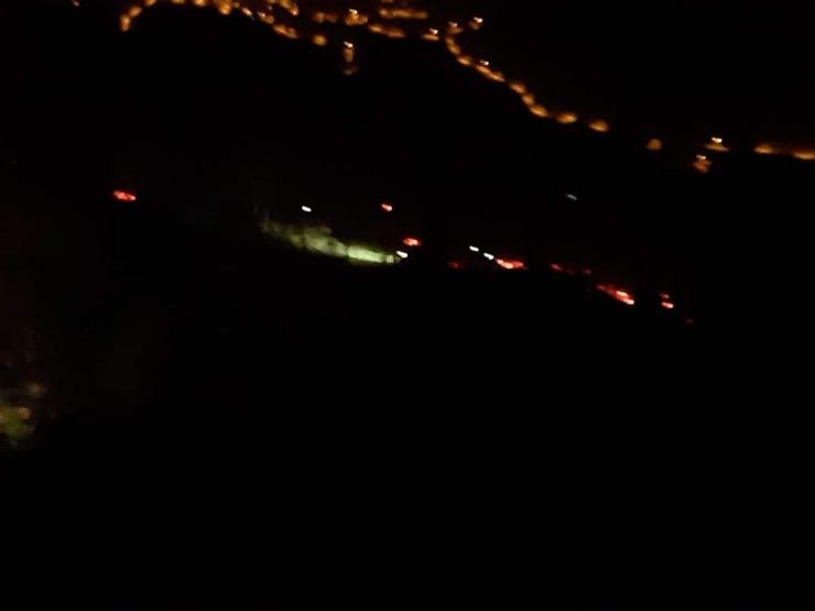 İzmir’de orman yangını: 500 kestane ve meşe ağacı yandı