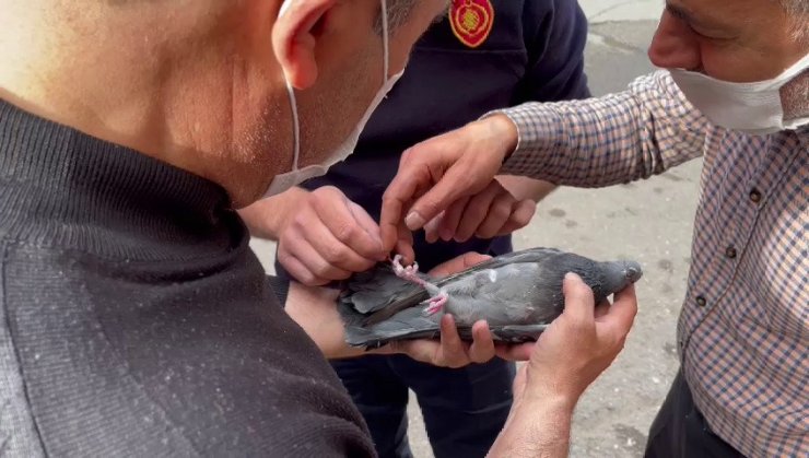Klima motorunda mahsur kalan güvercin kurtarıldı