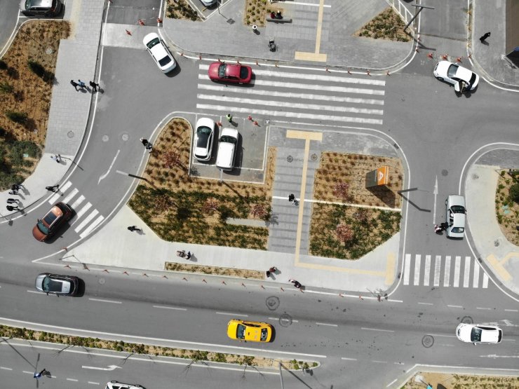 Şehir Hastanesi’nin sakuraları çiçek açtı