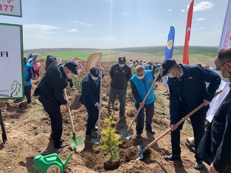 TDV’den ’1 İyilik 1 Fidan’ projesi