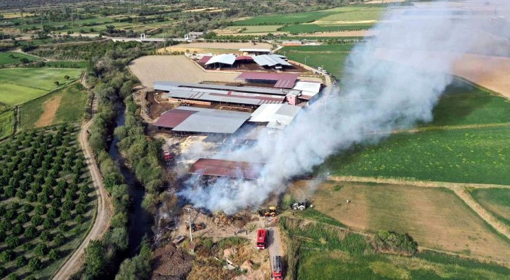 Kuyucak’taki yangında bin tondan fazla saman zarar gördü