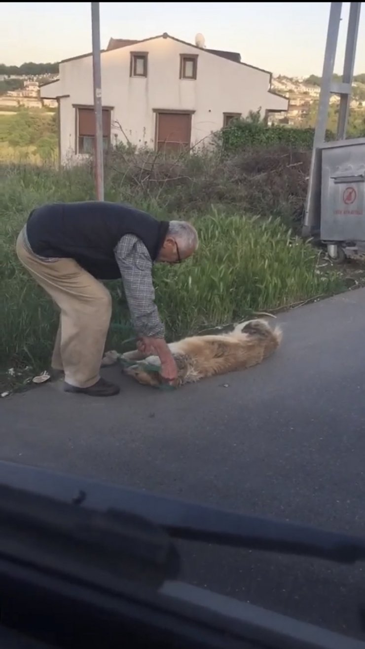 Sarıyer’de bağladığı köpeği sürükleyerek çöpe atan şahıs yakalandı