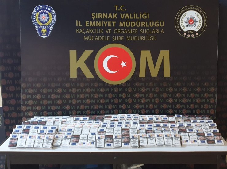 Şırnak’ta kaçakçılık operasyonu: 31 gözaltı