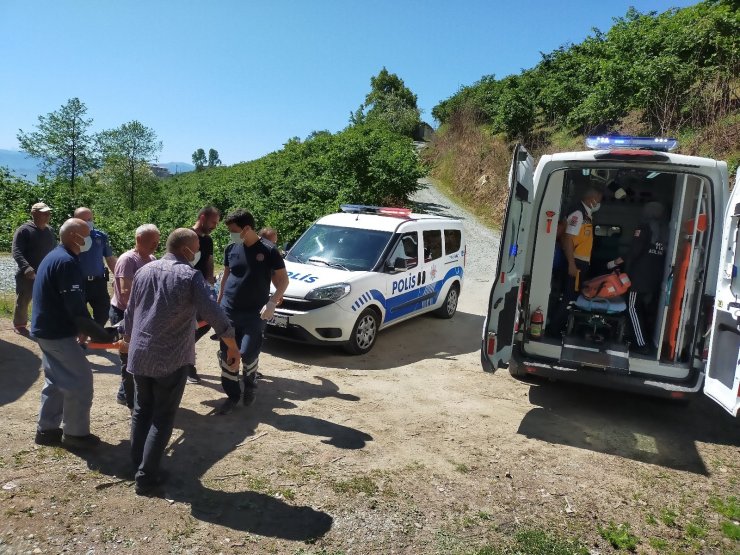 Ordu’da kestiği ağacın altına kalan yaşlı şahıs, 112 ekiplerince kurtarıldı