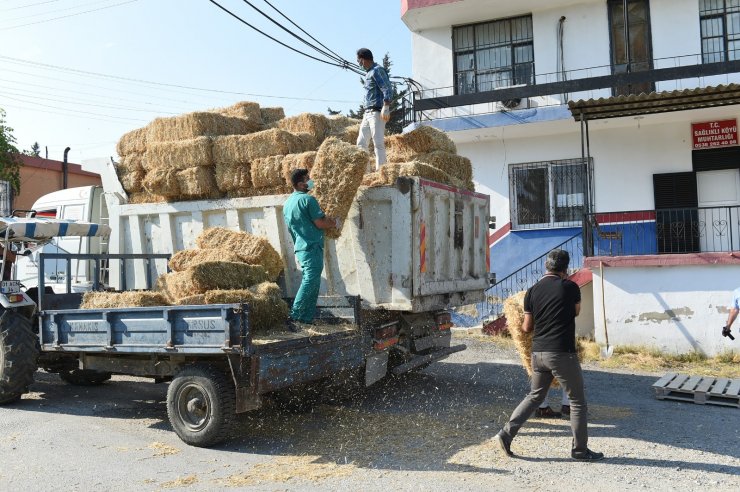 Tarsus’ta hasat edilen 30 ton buğday ve saman üreticilere ücretsiz dağıtıldı