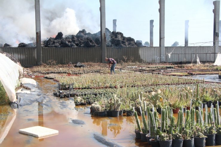 Adana’da geri dönüşüm tesisindeki yangın kontrol altına alındı
