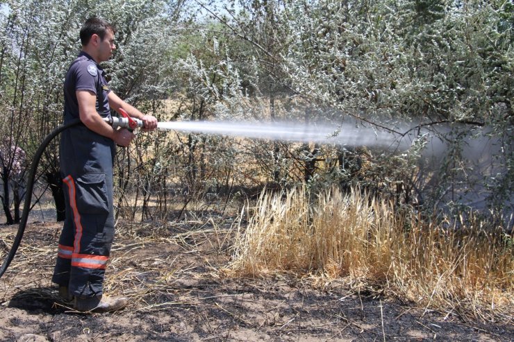 Elazığ’da yangın: 12 dönüm ekili alan kül oldu
