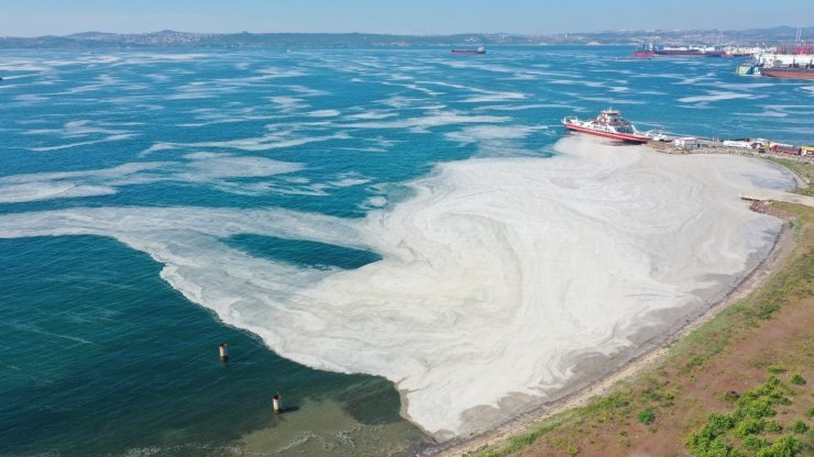 Yalova kıyılarında müsilaj görülmeye devam ediyor