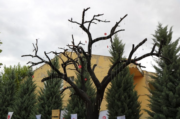 Kırşehir’de Şehitler Ağacı açıldı