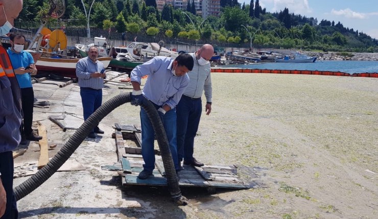 Düzce Belediyesi Marmara Denizi’nde musilaj temizliği yaptı