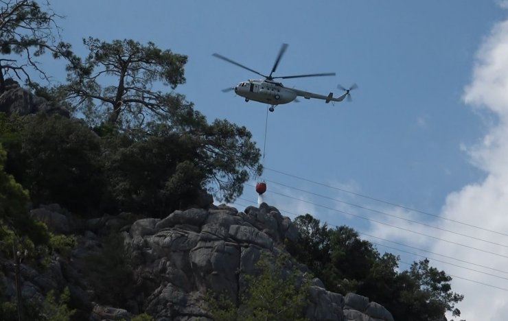 Antalya’da çıkan orman yangınında 1 dekarlık alan zarar gördü