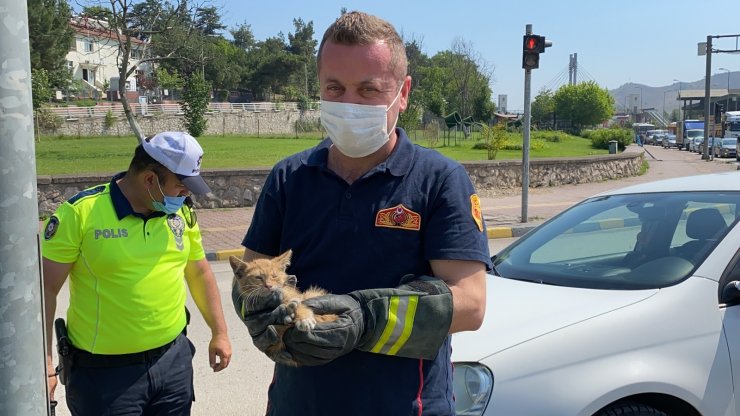 Otomobilin motor kısmına giren yavru kedileri itfaiye ekipleri kurtardı