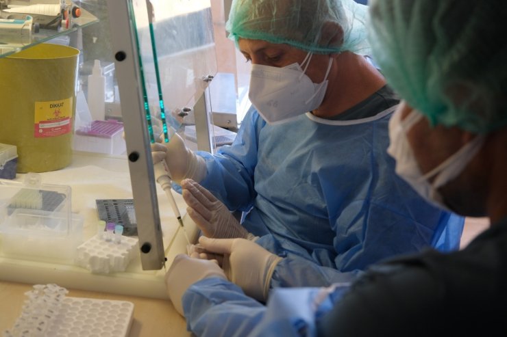 Sinovac’da 3’üncü ay sonuçları: Antikor düşse de hastalanan kişi sayısı yüzde 2’lerde kaldı