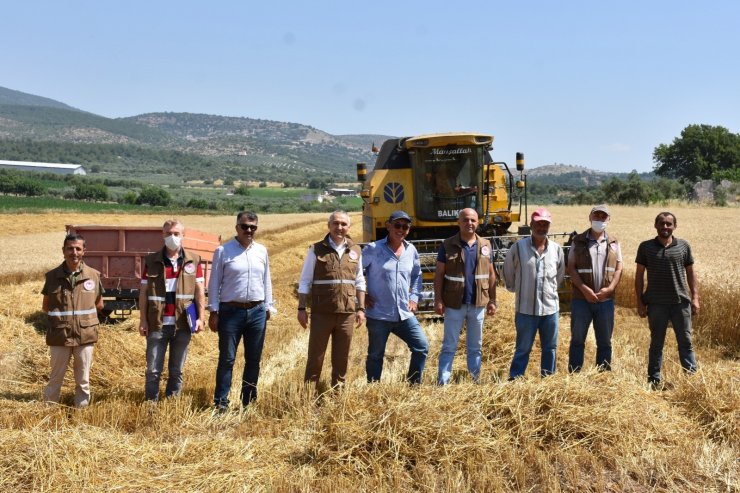 Manisa’da hububat hasadı devam ediyor