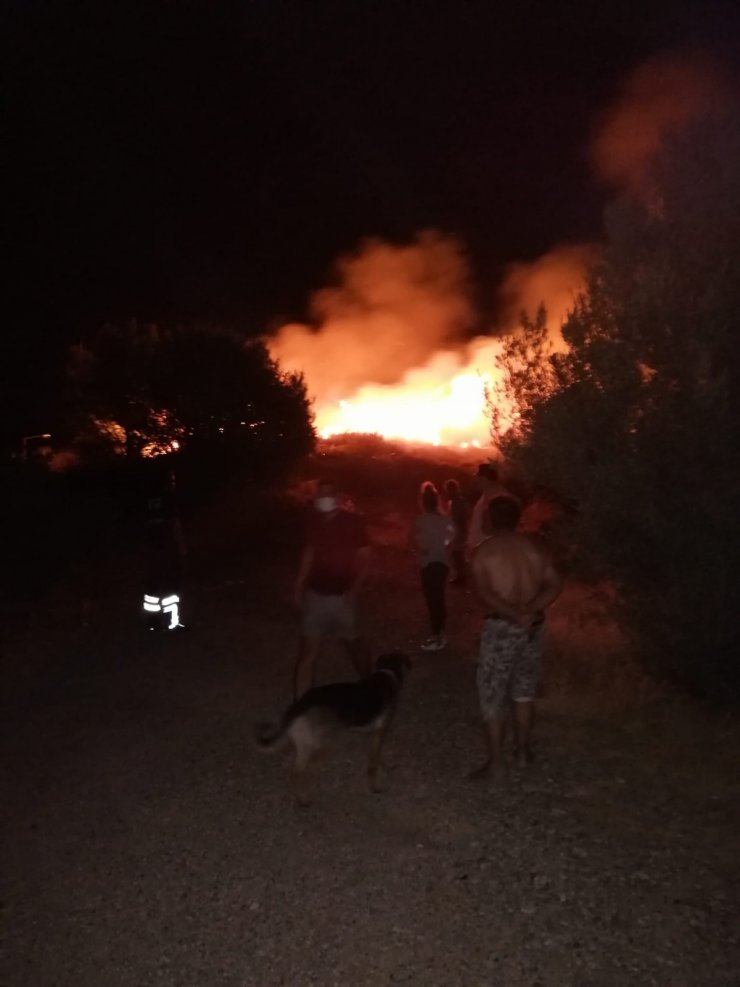 Datça’da otluk alandaki yangın söndürüldü